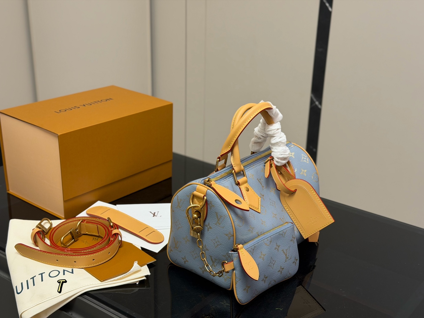 LV Speedy Handbag 207